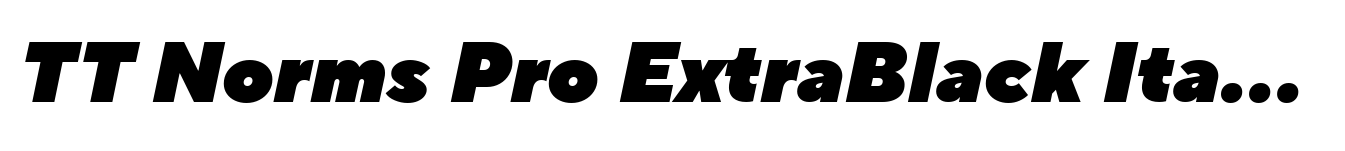 TT Norms Pro ExtraBlack Italic